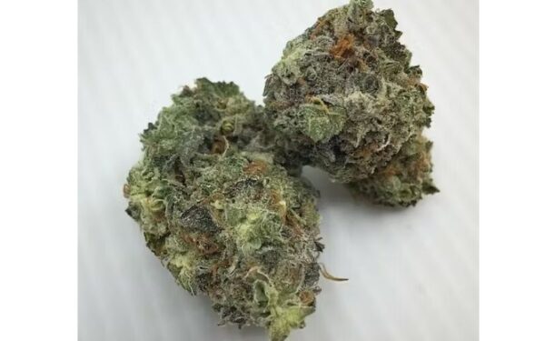 Mac Headband Strain