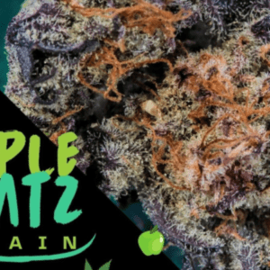 Apple Mintz Strain