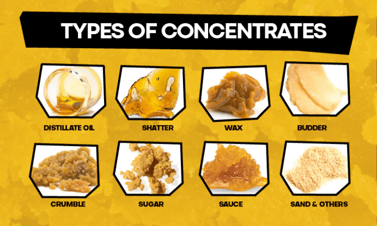 What are the Different Types of Cannabis Concentrates Available?