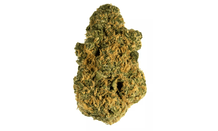 What makes Zkittlez a popular strain among users?