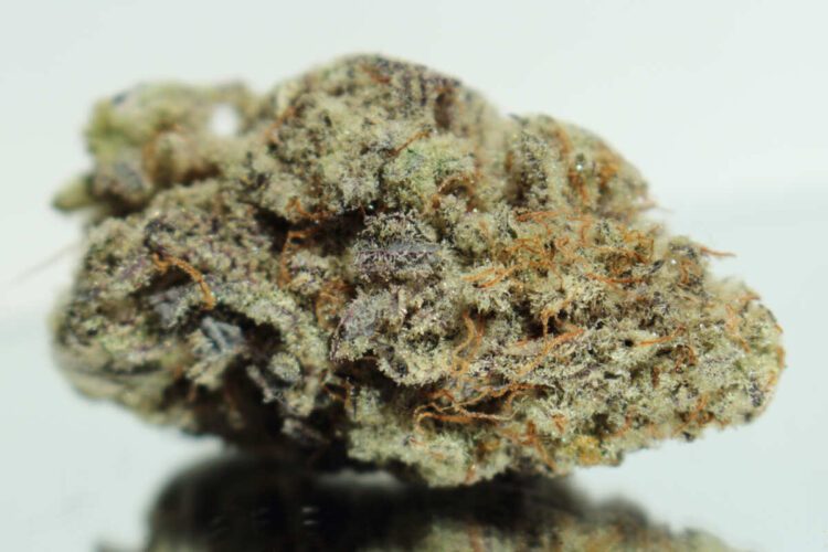 How does the MAC 1 strain affect users?